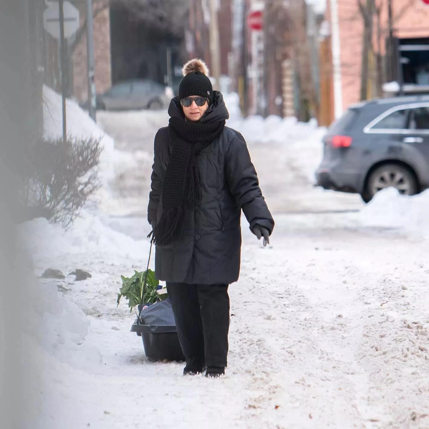 Pelican Trek 45 Utility Sled - Image 2